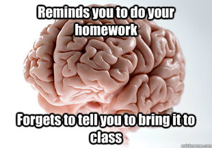 Scumbag Brain