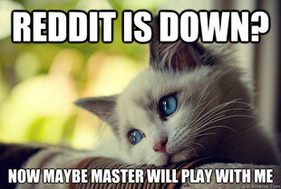 First World Problems Cat