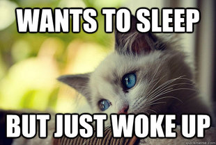 First World Problems Cat