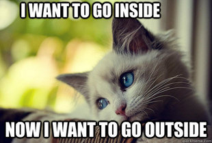 First World Problems Cat