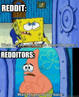 What did you do