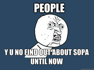 Y U No