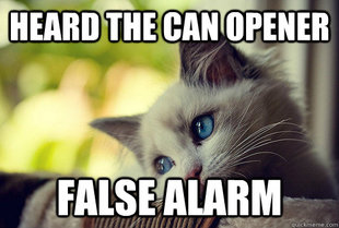 First World Problems Cat