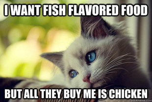 First World Problems Cat