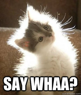 Say whaa?