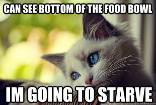 First World Problems Cat