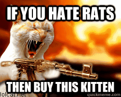 I Hate Rats