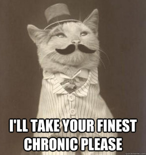 Create  Meme on Original Business Cat Meme   Quickmeme
