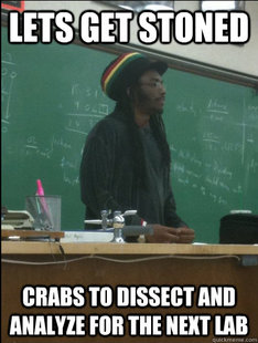 Rasta Science Teacher