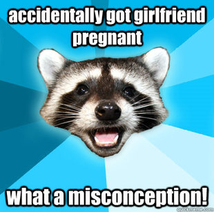 Lame Pun Coon
