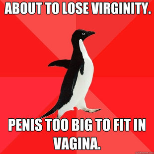 Socially Awesome Penguin