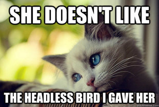 First World Problems Cat