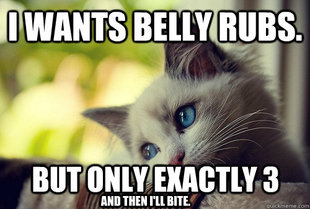 First World Problems Cat