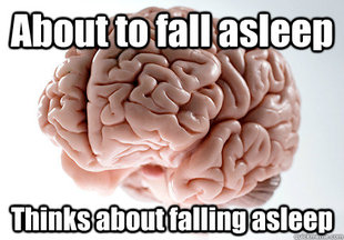 Scumbag Brain