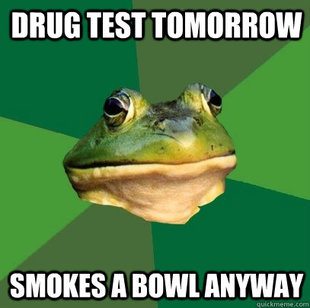 Foul Bachelor Frog