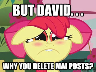 Apple bloom