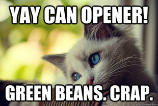 First World Problems Cat