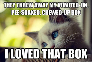 First World Problems Cat