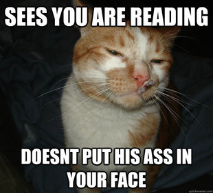 Cool Cat Craig
