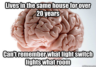 Scumbag Brain