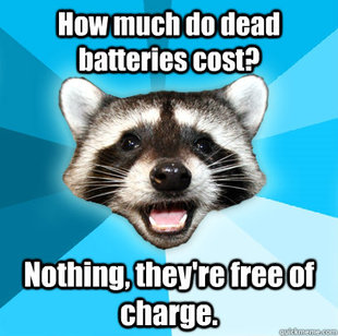 Lame Pun Coon