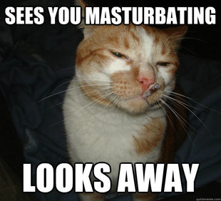 Cool Cat Craig