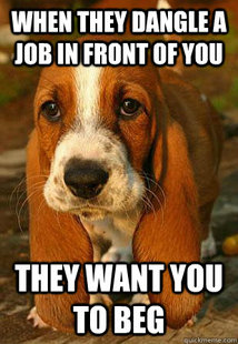 Unemployable Basset Hound Puppy