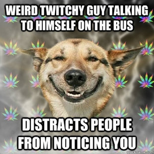 Stoner Dog