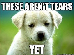 Sad puppy