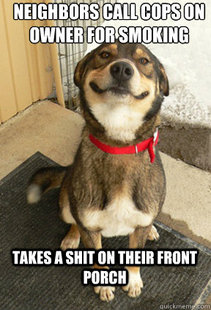 Good Dog Greg