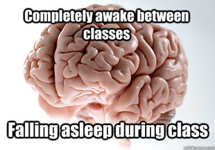 Scumbag Brain