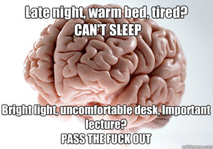 Scumbag Brain