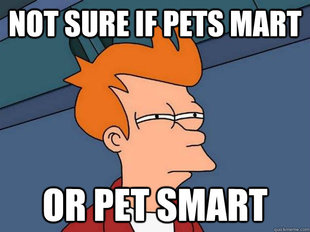 Futurama Fry