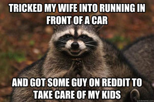 Evil Plotting Raccoon