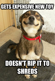 Good Dog Greg