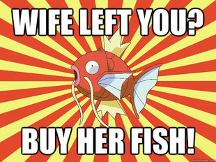 Advice Magikarp