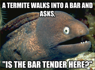 Bad Joke Eel