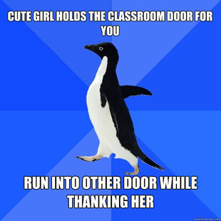 Socially Awkward Penguin