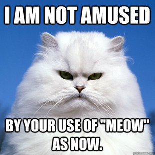 Right Meow
