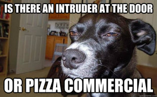 Skeptical Mutt