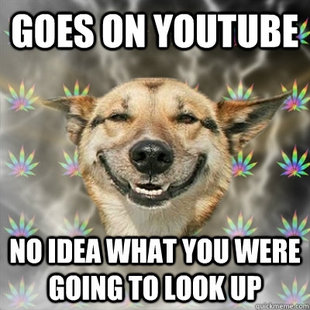 Stoner Dog