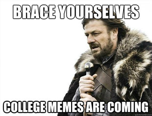 Brace Yourselves - Borimir