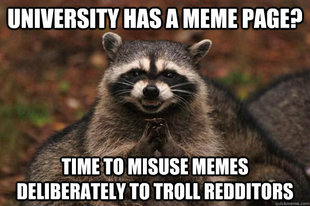 Evil Plotting Raccoon