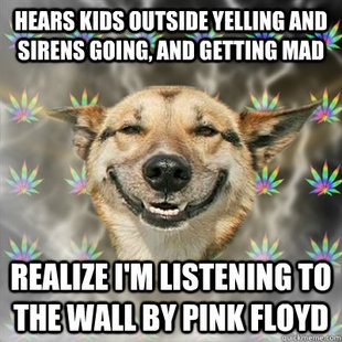 Stoner Dog