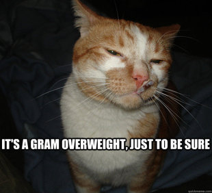 Cool Cat Craig