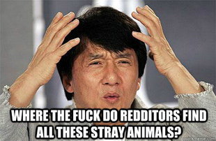EPIC JACKIE CHAN