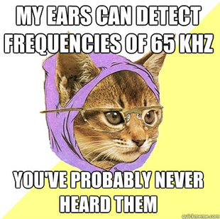 Hipster Kitty