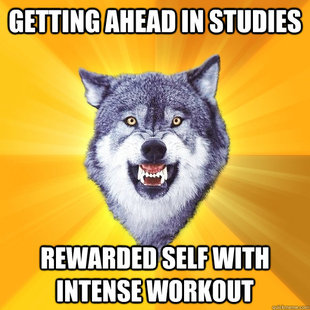 Courage Wolf