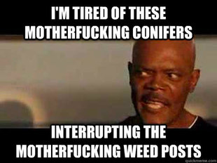 samuel l jackson