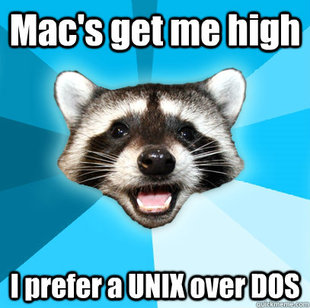 Lame Pun Coon